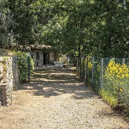 Podere Piazza Di Sopra *